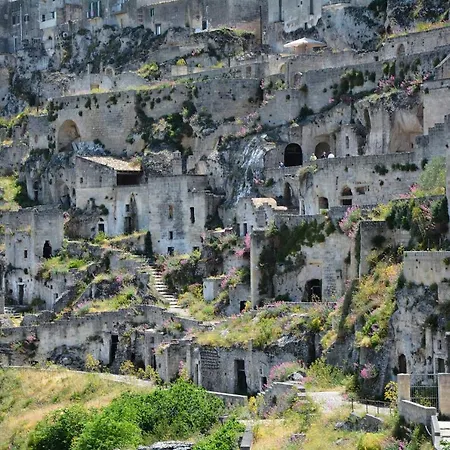 Saxaurea * Matera